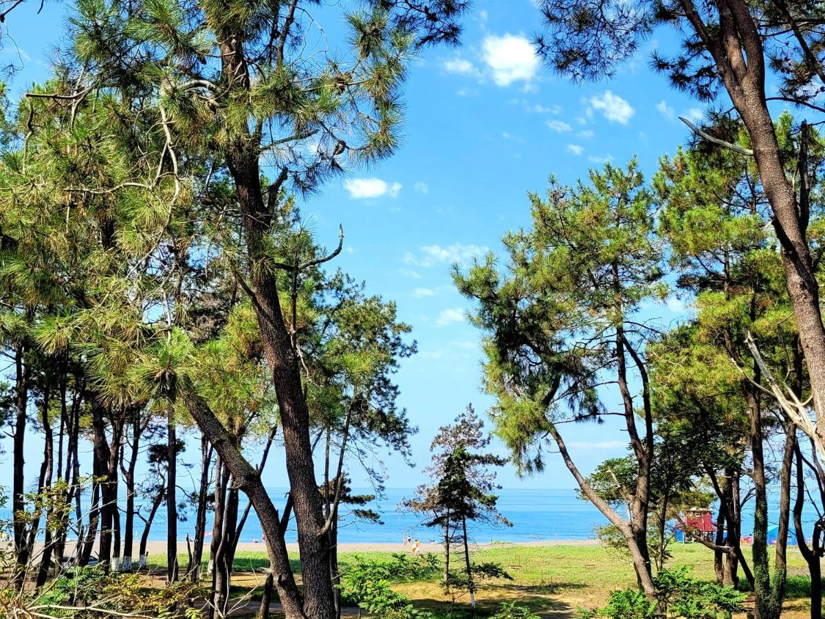 Beachfront Apartments ,,Kapro-One,, Ureki Exterior foto